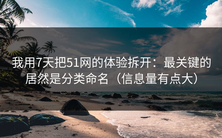 我用7天把51网的体验拆开：最关键的居然是分类命名（信息量有点大）