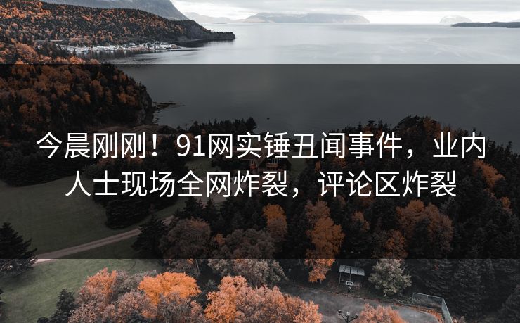 今晨刚刚！91网实锤丑闻事件，业内人士现场全网炸裂，评论区炸裂